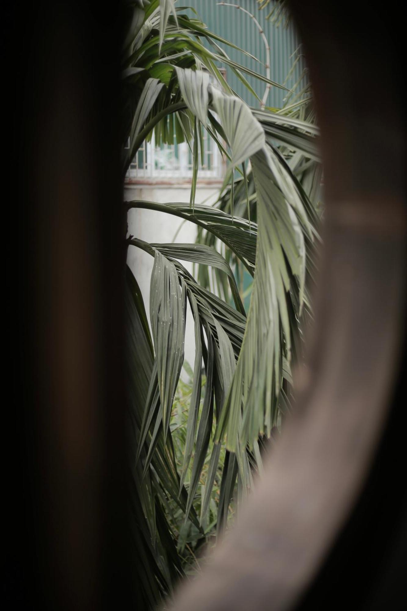 Hidden Gem Homestay 2 Hà Nội Ngoại thất bức ảnh